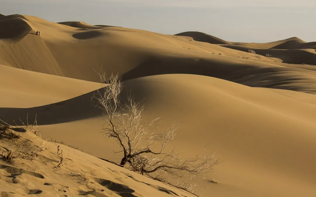 Halvan Desert 